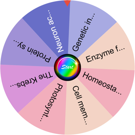 A quiet moment with my flashcards