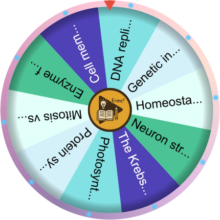 The quiet spin before a study session