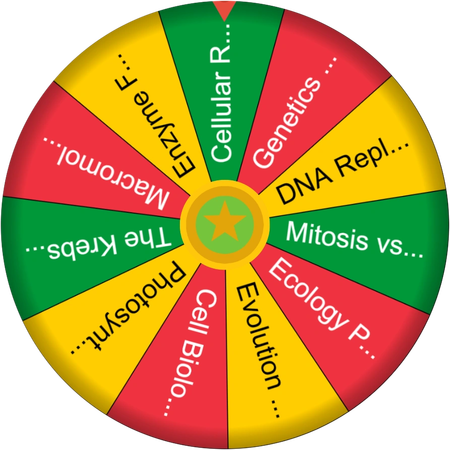 A quiet spin to settle my mind